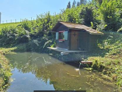 Bild 2:Verpachte Teich