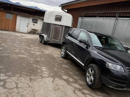 Bild 2:VW Touareg King Kong Ausführung