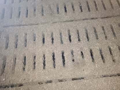 Rinderspalten