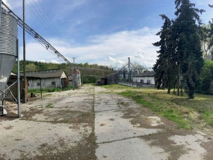 Bild 8:Schweinezuchtanlage und Schlachthof - 29,25 ha - Grenznähe