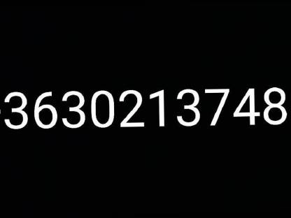 Bild 5:Metalwolf MW F-6, 6-fogas Borona