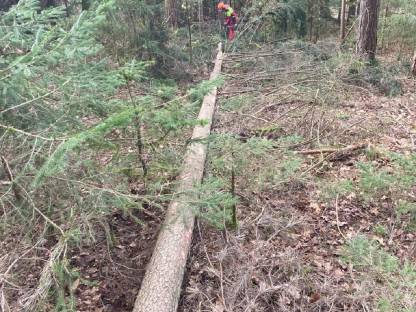 Bild 2:Forst und Grünlandpflege