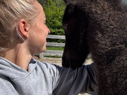 Bild 5:Tolles Isländer-Fohlen