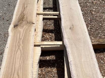 Bild 2:Eichenpfosten