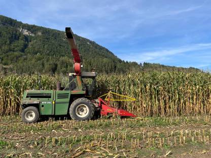 Bild 4:Maishäcksler