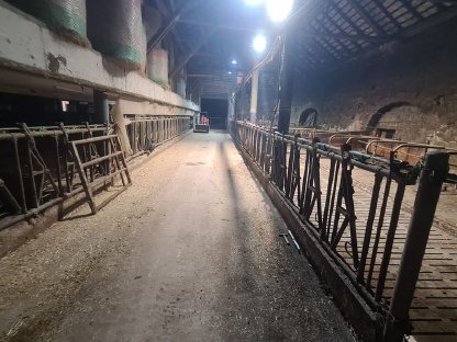 Bild 2:Aufstallung gebraucht zu verkaufen