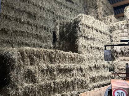 Bild 2:Ökoheu