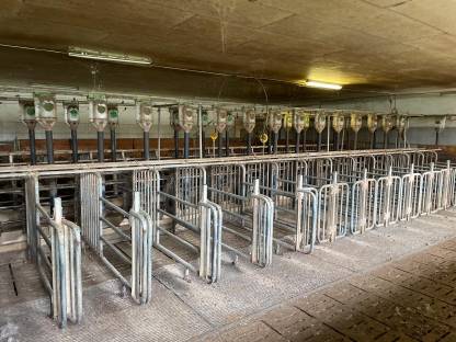 Bild 2:Aufstallung Komplettset der Firma Bräuer - Guter Zustand