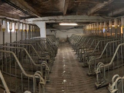 Bild 5:Schweinezuchtanlage und Schlachthof - 29,25 ha - Grenznähe