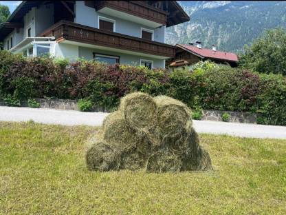 Bild 3:Kleinballenpresse Marangon Mini 800