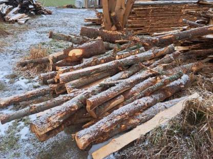 Bild 4:Zirbenholz aus den Seetaler Alpen