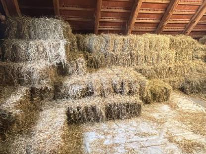 Bild 2:Heu