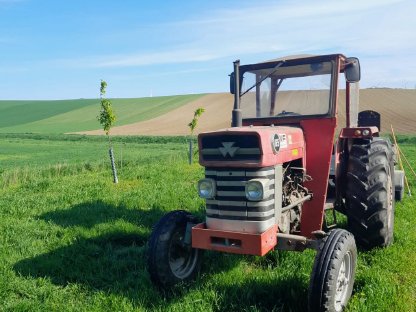 Massey Ferguson 165