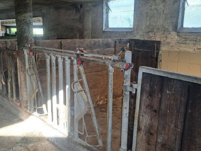 Bild 3:Aufstallung zu verkaufen