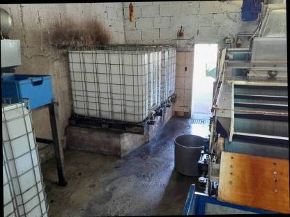 Bild 5:Siebbandpresse