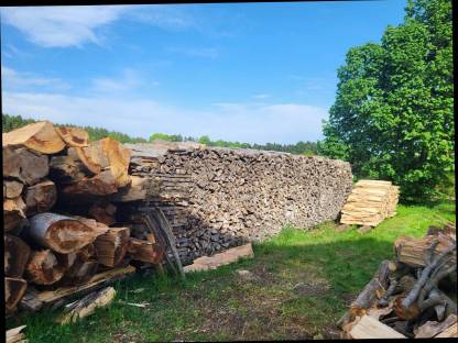 Brennholz Buche