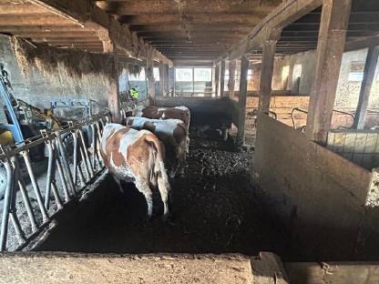 Bild 5:Landwirtschaft in 8184 Anger bei Weiz