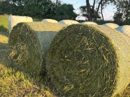 Bild 2:Bio Silage Ballen