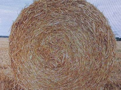 Stroh Rundballen