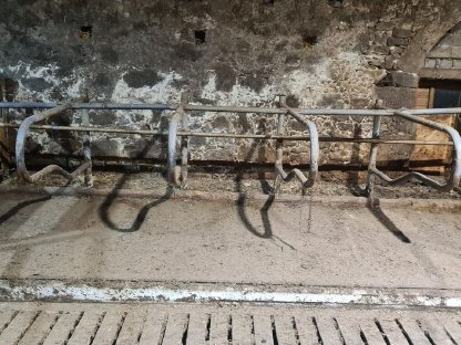 Bild 4:Aufstallung gebraucht zu verkaufen