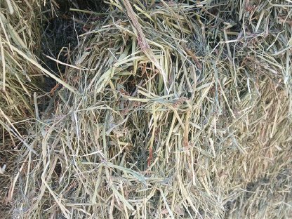 Bild 2:Belüftungsheu Quaderballen