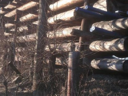 Rundholz endrindet bis 14m