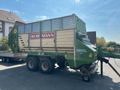 Bild 2:Bergmann Royal 21S