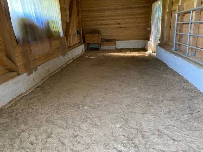 Bild 5:Fohlen-Aufzucht-Platz für 2 Hengste ab sofort