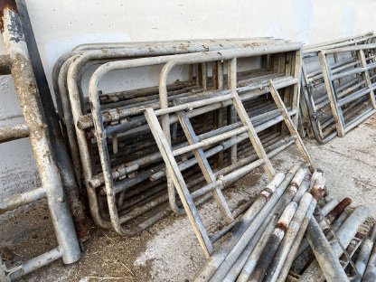 Bild 2:Aufstallung Rinder