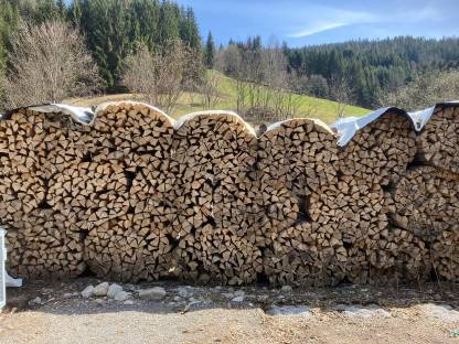 Brennholz
