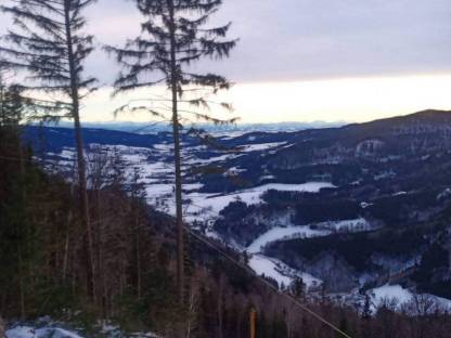 Holzschlägerung