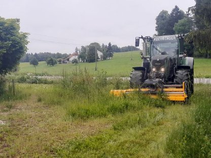 Bild 4:Mulcharbeiten