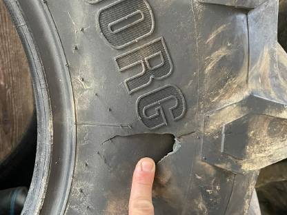 Bild 6:540/65R24 Trelleborg TM800