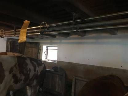 Bild 8:Rohrmelkanlage Alfa-Laval