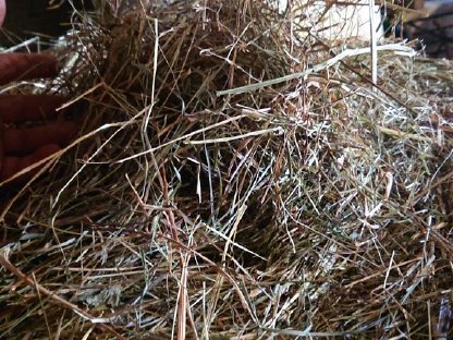 Bild 5:Heu, Heuballen, Rundballen 1. Schnitt 2024 zu verkaufen