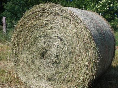 8 Stk. Heu-Rundballen
