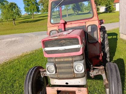 Bild 3:Massey Ferguson MF 135