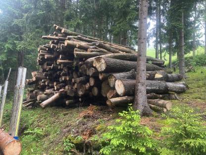 Bild 3:Brennholz Hartholz - geeignet für Spaltautomaten