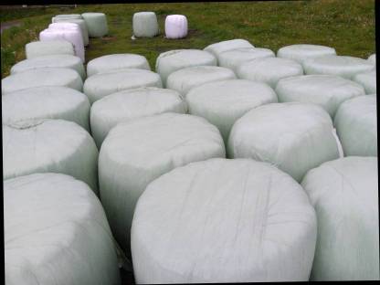 Bio-Siloballen