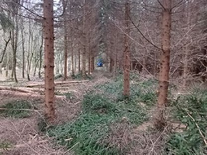 Bild 3:Durchforstungsarbeiten mit Vimek 404T und Alstor 822