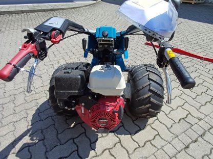 Bild 4:Motormäher Bertolini 150MS ALPINE