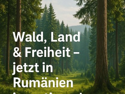 Sichere Investitionen in landwirtschaftliche Flächen, Wälder