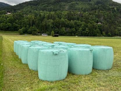 Grasballen