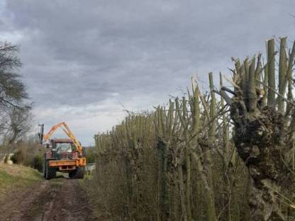 Bild 2:Heckenschnitt, Lichtraumschnitt, Säge, Ausleger, Mulcher