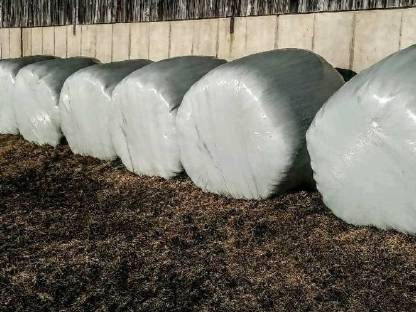 Siloballen