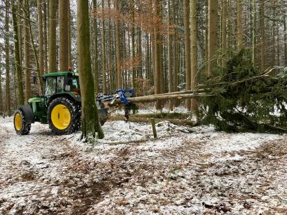 Bild 5:Forstdienstleistung
