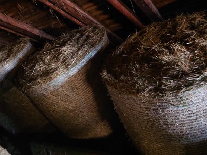 Bild 3:Heu, Heuballen, Rundballen 1. Schnitt 2024 zu verkaufen