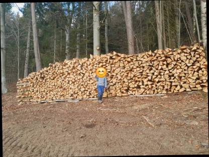 Buchen Brennholz