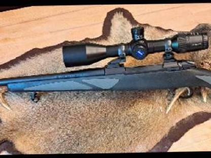 Sako 85L, 375 HH Mag.