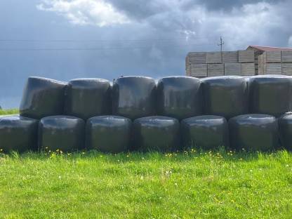 Maisballen, € 88,- pro Stk.